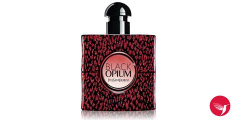 Black Opium Baby Cat Collector