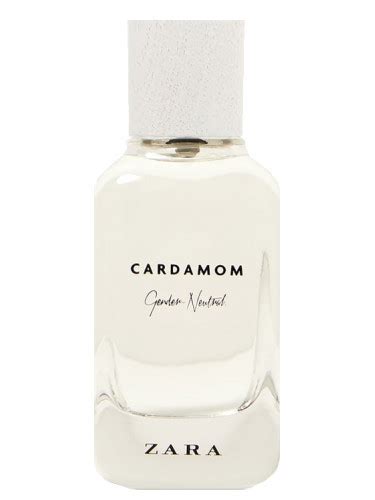 Cardamom Gender Neutral