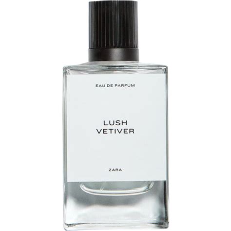 Lush Vetiver