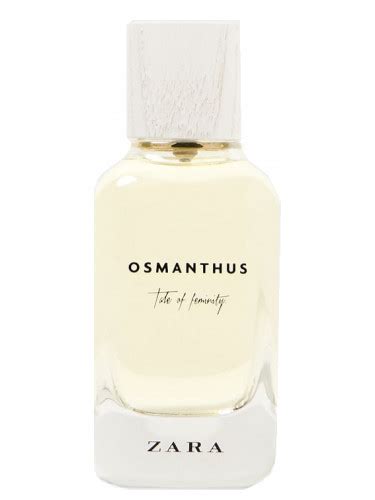 Osmanthus Tale Of Feminity
