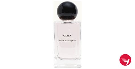 Zara Woman Peach Blooming Rose