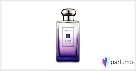 London Rain Wisteria Violet