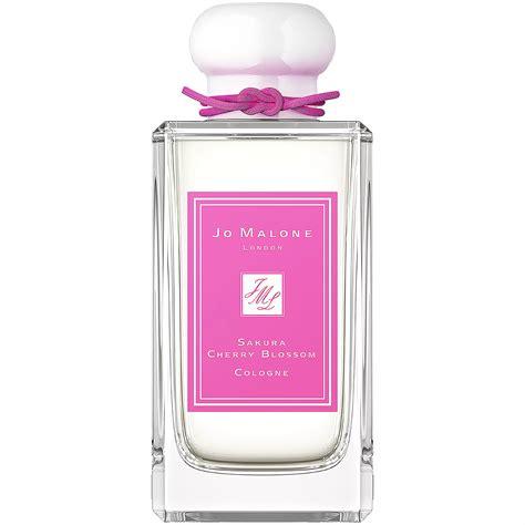 Sakura Cherry Blossom