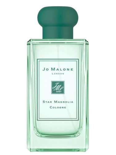 Star Magnolia Cologne 2019