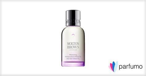 Blossoming Honeysuckle White Tea