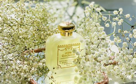 Caprifoglio Honeysuckle